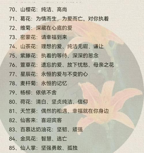 丸子叨叨叨花语是什么意思？花语的含义是什么？