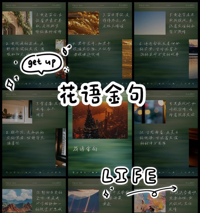 黄玫瑰茶的花语寓意有何不同？