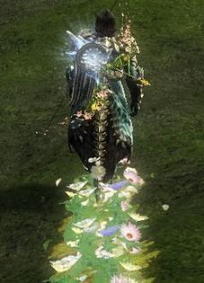 激战2葛藤花语武器代表什么含义？
