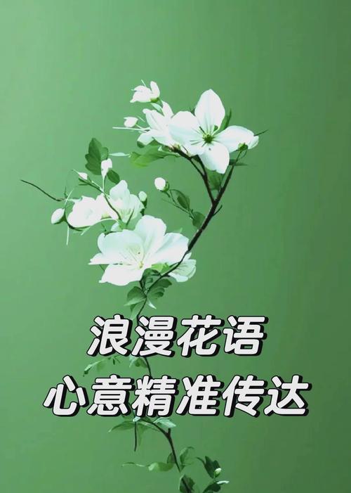 表达不开心情绪的花语有哪些？