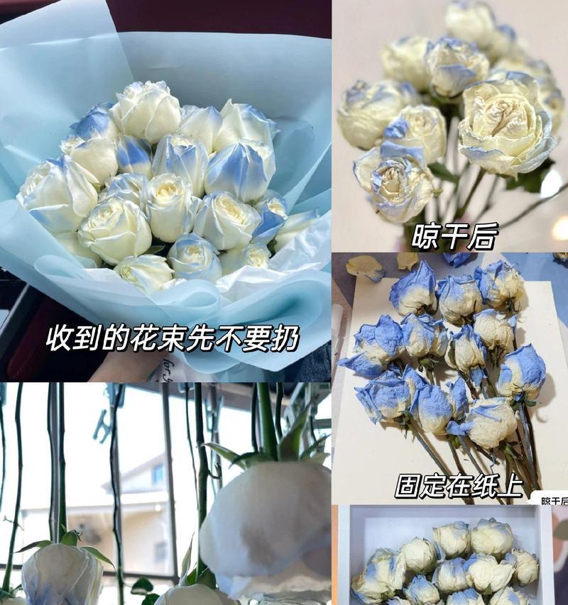 永生花与鲜花花语有何不同？