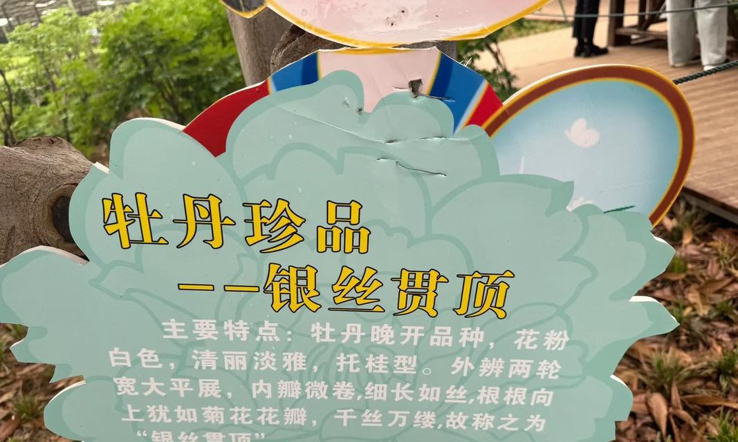 牡丹花树叶的象征意义是什么？它在花语中扮演什么角色？