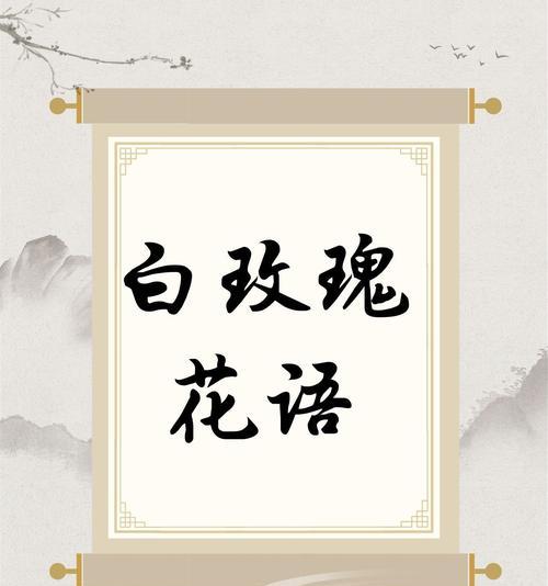 白玫瑰的花语为何吸引你？