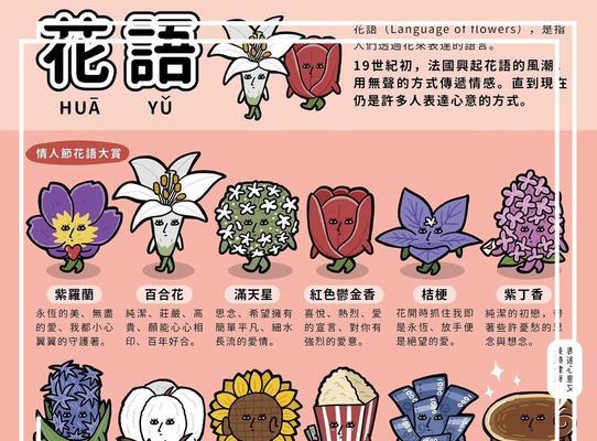 这朵花的花语是什么？它代表了哪些情感和寓意？