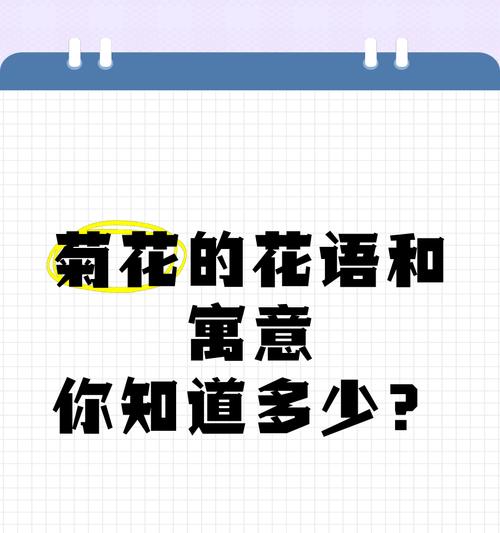 菊花与蝴蝶搭配的花语有何寓意？