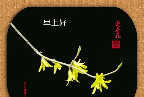 宝宝分享的花语有何教育意义？