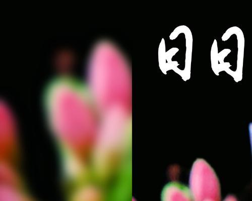 宝宝分享的花语有何教育意义？