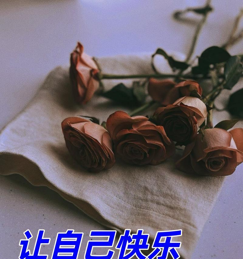 做自己的快乐花语有何寓意？如何通过花语表达自我？