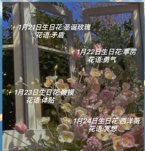生日时送女生什么花的花语最为合适？