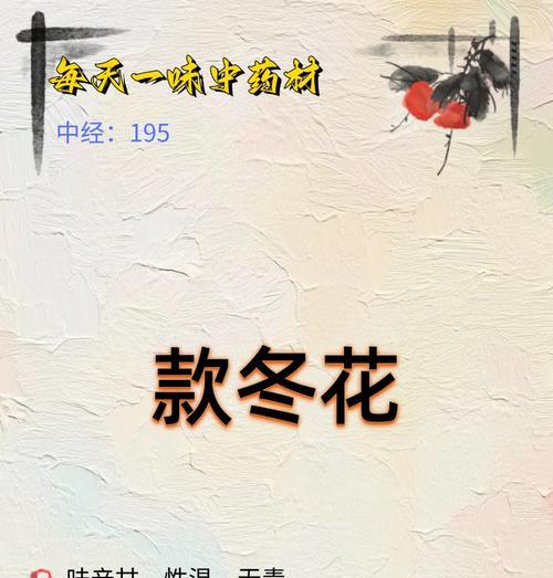 冬日里哪种花语最能温暖人心？