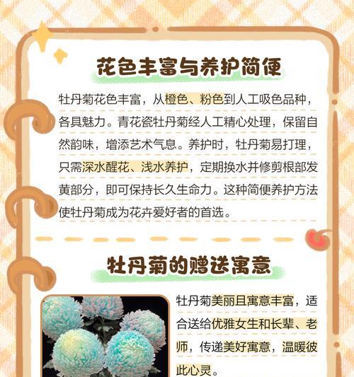 菊花的花语真的是悲伤吗？背后的原因是什么？