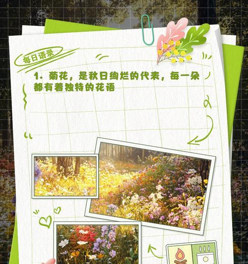 菊花的花语真的是悲伤吗？背后的原因是什么？