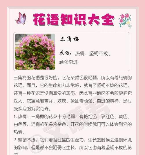 天蝎座的花语有哪些独特含义？