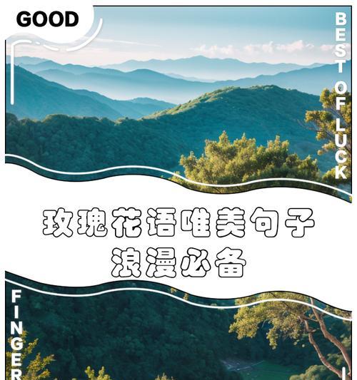 浪漫满怀的花语是什么意思？浪漫花语有哪些表达方式？