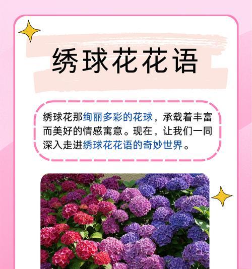 4种花代表精神的花语有哪些共同点？