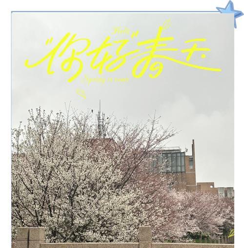 留下痕迹的花语是什么花？它代表了什么含义？