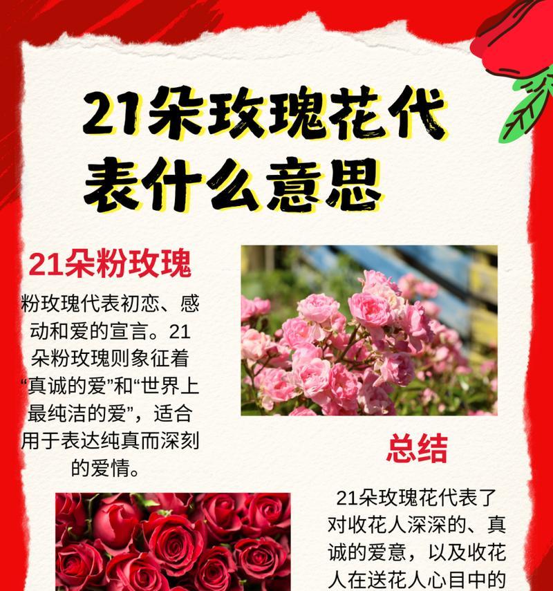 24朵玫瑰花的花语是什么？