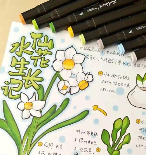 水仙花种球的花语有何含义？它象征着什么？