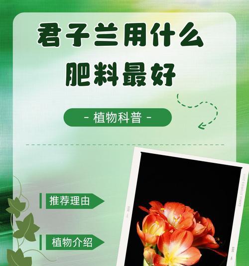 君子兰出现两个花心时应如何处理？怎样避免这种情况发生？