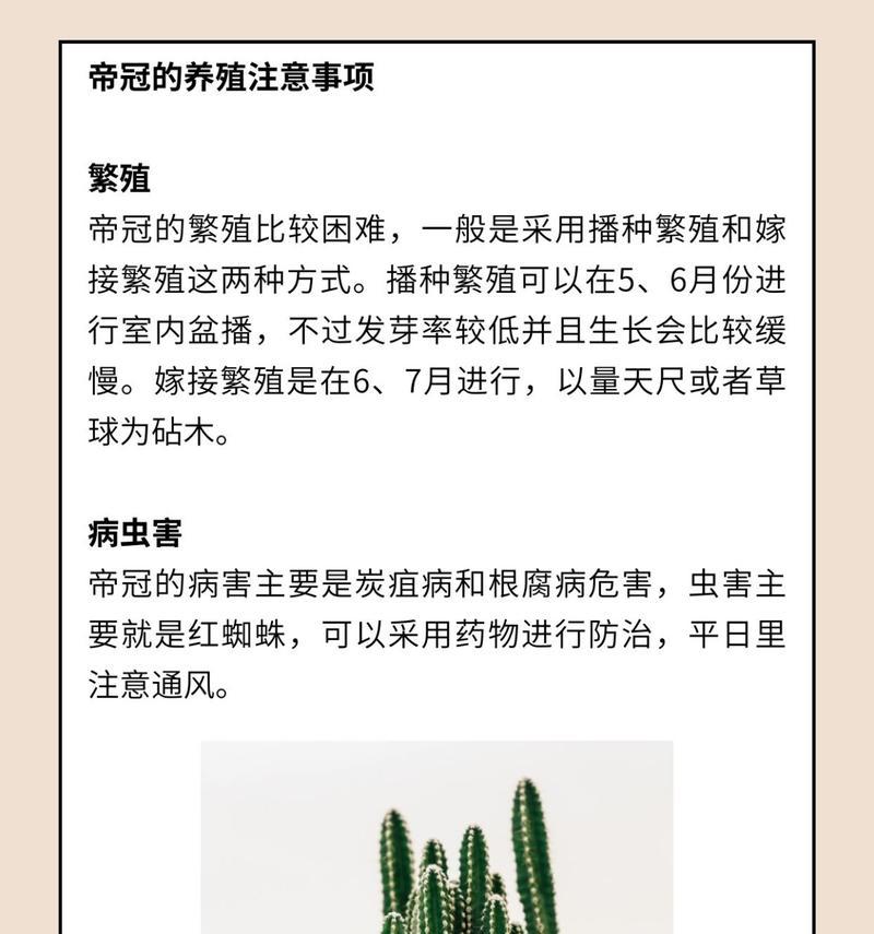 仙人掌种植的基本步骤和注意事项是什么？