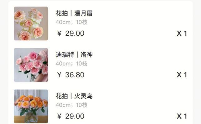 用番薯培育玫瑰花的步骤是什么？有哪些注意事项？