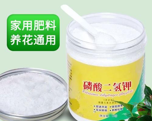 君子兰换盆带花苞时应注意什么？