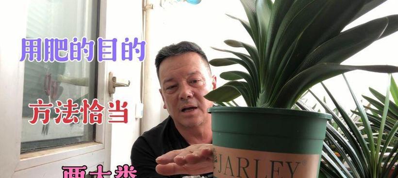 君子兰骨肥的制作方法是什么？