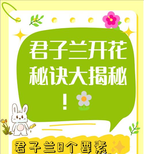 君子兰发育速度快吗？养护方法有哪些？