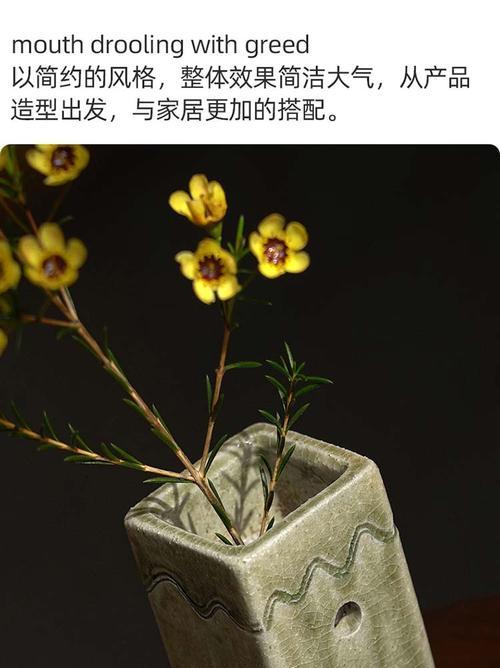 陶瓷花瓶中的仙人球如何照料？