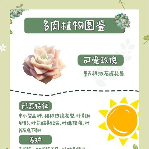 玫瑰花不能种是什么原因？如何正确种植玫瑰花？