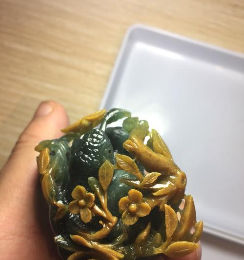 翡翠一号君子兰的养殖难度和方法是什么？