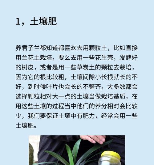君子兰种植对土壤有何特殊要求？