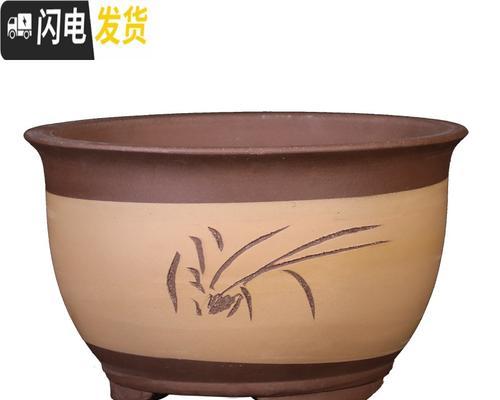 中君子兰适合用哪种花盆？如何选择合适的花盆？