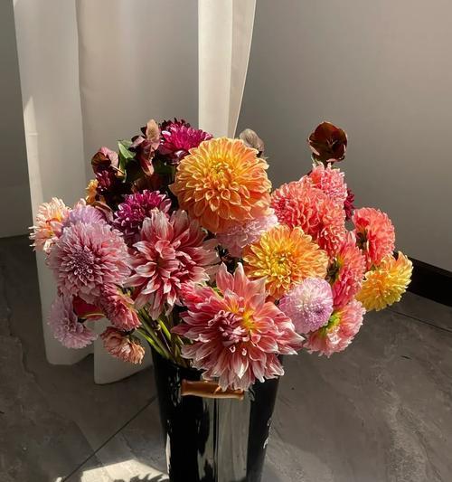 玫瑰花苞如何唤醒？醒花的正确步骤是什么？