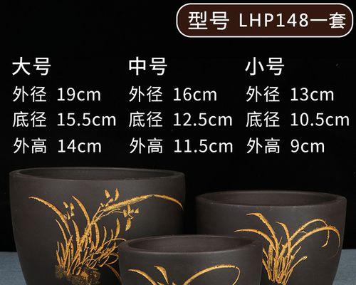 君子兰多肉迷你花盆种植技巧？