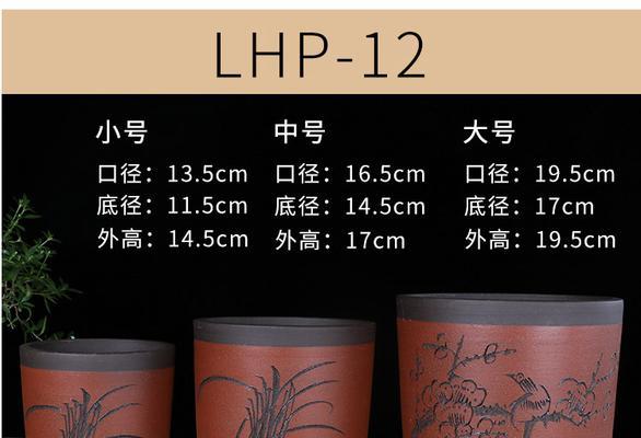 君子兰多肉迷你花盆种植技巧？