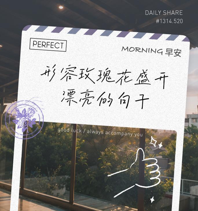 如何养出盛开的玫瑰花？玫瑰花养护的秘诀是什么？