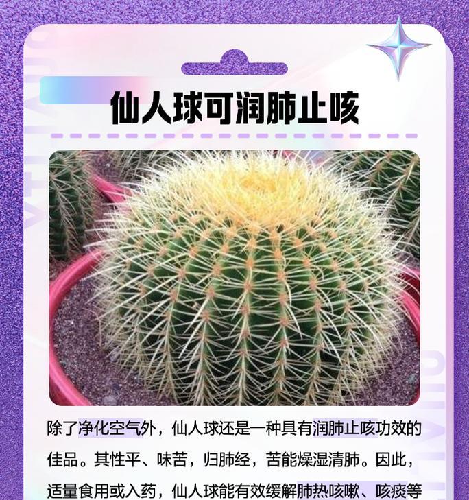 仙人球修根后再种植的利弊是什么？正确的种植方法有哪些？