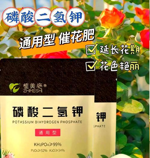 牡丹花的最佳肥料是什么？如何正确施肥？