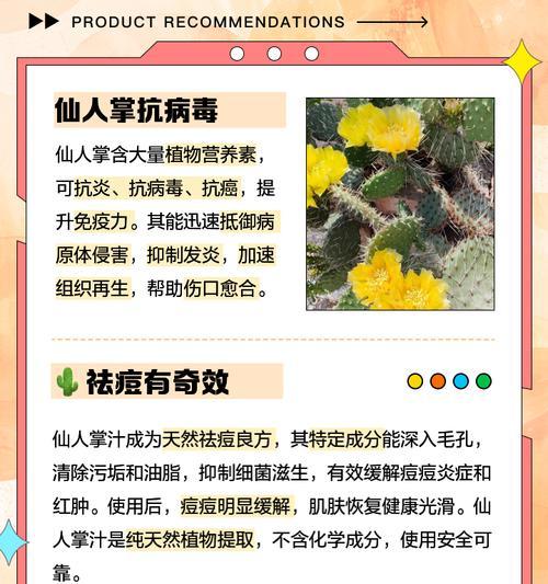 仙人掌嫩芽细长问题解决？如何促进健康生长？