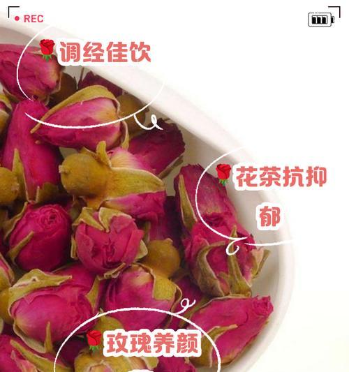 透明糖果玫瑰花的品种特点是什么？如何养护？