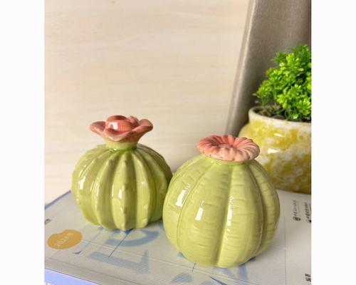 如何制作迷你玩具仙人掌花盆？需要哪些材料？