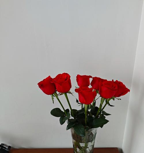 玫瑰花的种植方法有哪些？