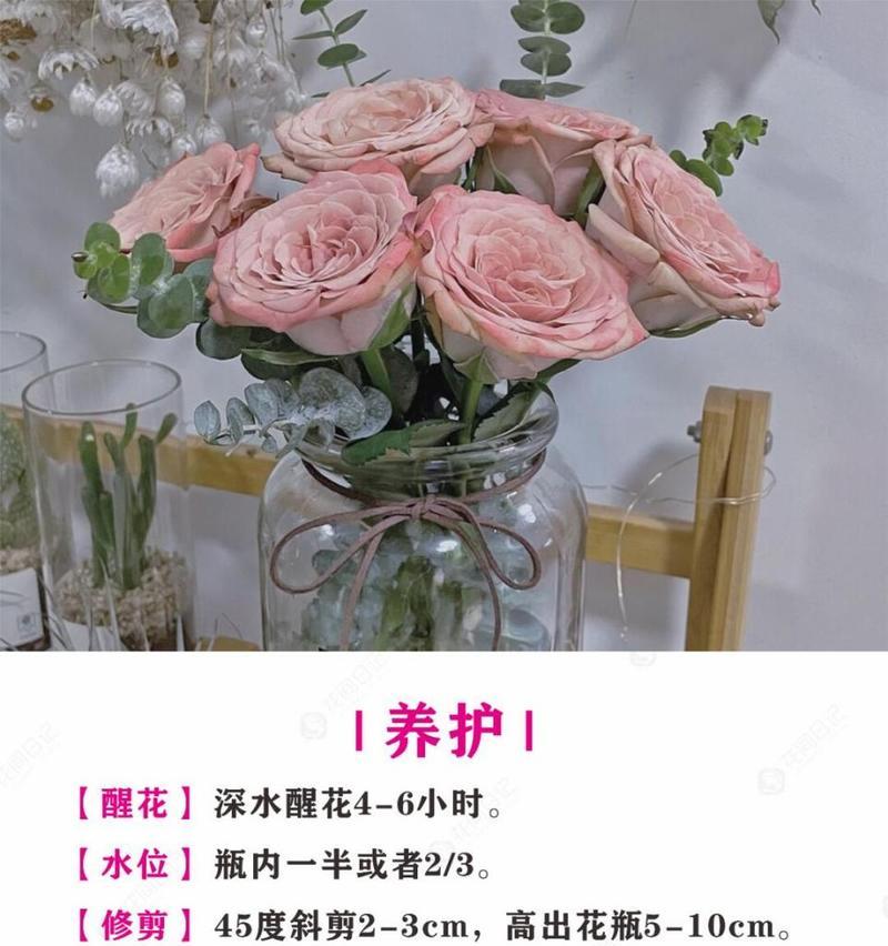 哪种玫瑰花品种最昂贵美丽？如何鉴别？