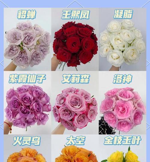 哪种玫瑰花品种无需过多照顾？
