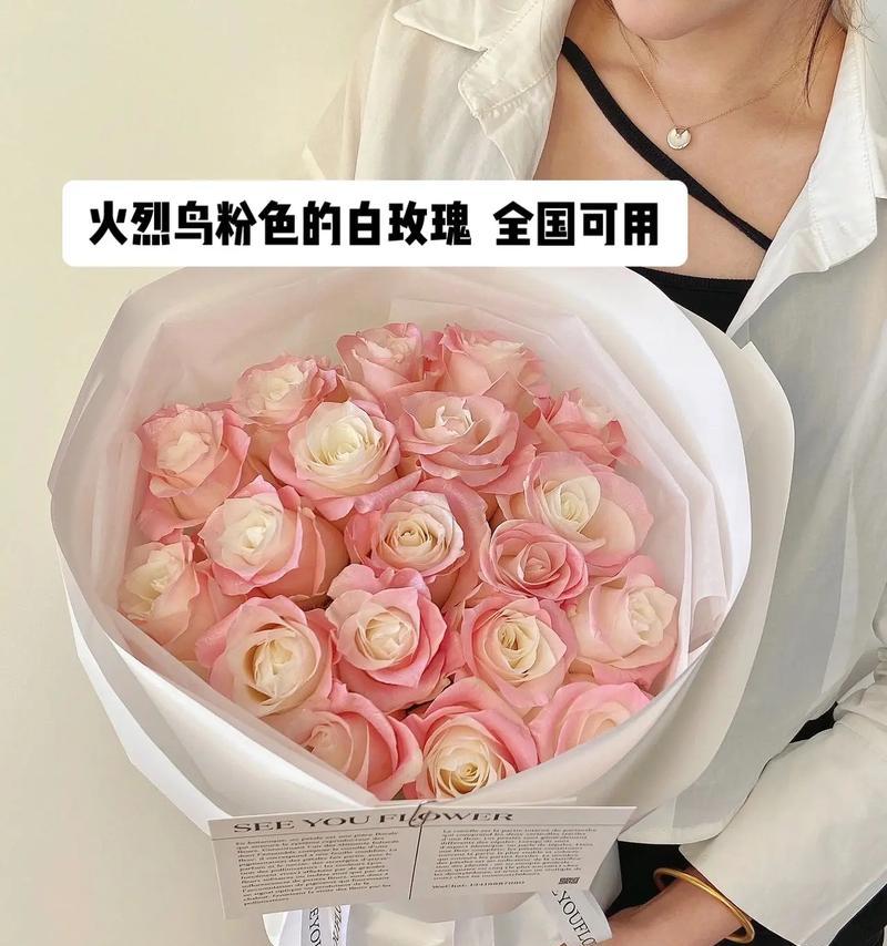 烈火鸟玫瑰花的养护技巧是什么？如何确保其健康成长？