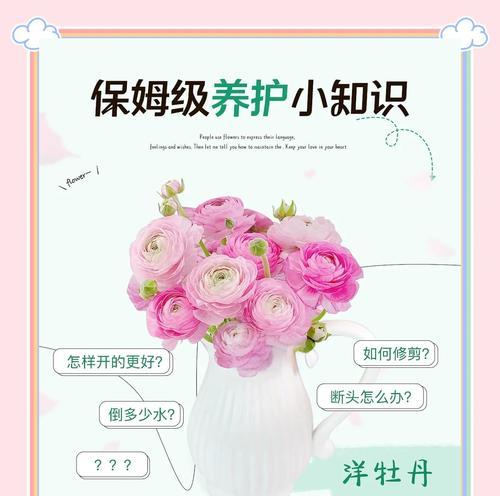 农村环境下如何养护家养牡丹花？
