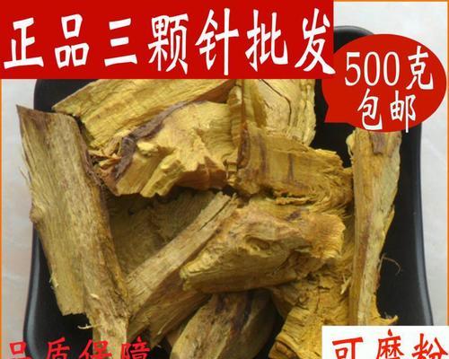 仙人球刺根发黄发软的可能原因及解决方法是什么？