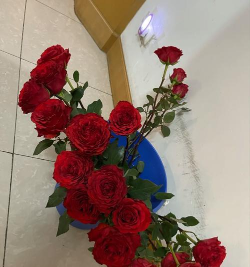 玫瑰花巨无霸假花的养护方法是什么？如何保持其美观？