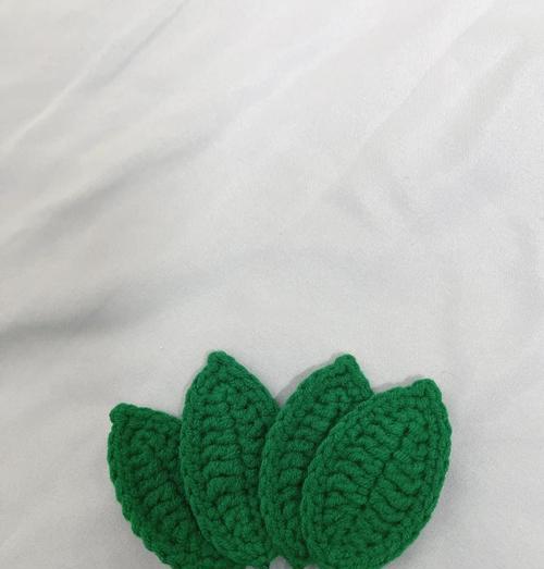 玫瑰花叶子稀少怎么办？可能的原因有哪些？